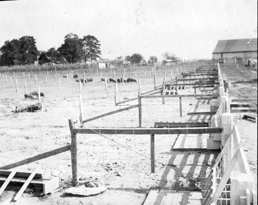 Kentucky Experiment Station