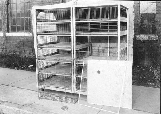 Chicken cages