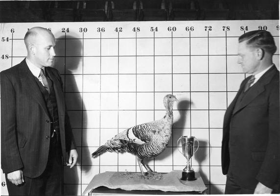 Two men, a turkey, and a trophy