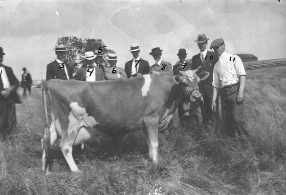 Visitors learning the fine points in judging dairy cattle