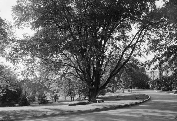 Unidentified campus drive