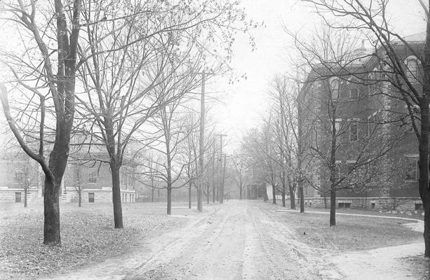 Unpaved lane between Carnegie Library and Miller Hall