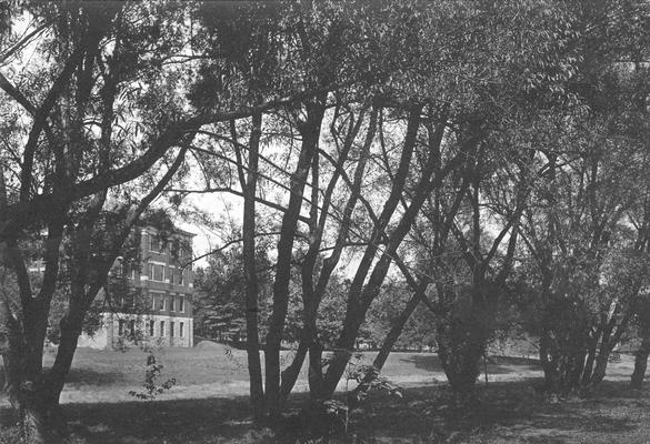 Trail among trees and University building