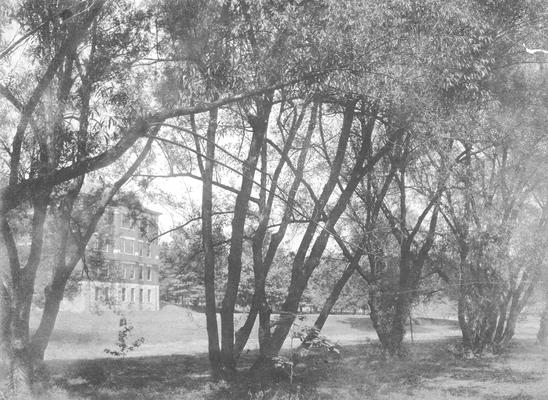 Trail among trees and University building