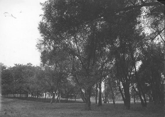 Present site of Student Union Building, 1908