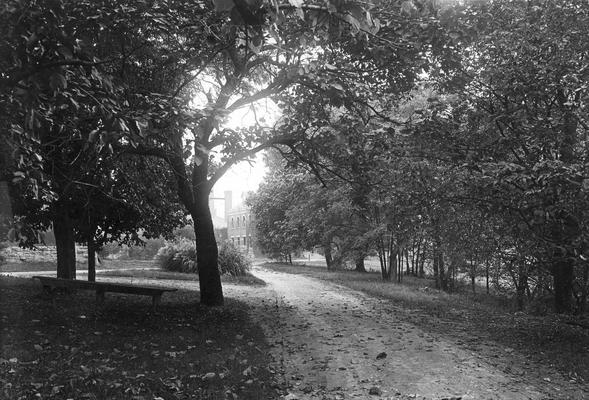 Campus unpaved drive