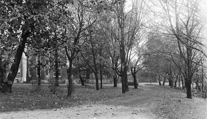 Unpaved drive leading to Miller Hall, Neville Hall, and Anderson Hall