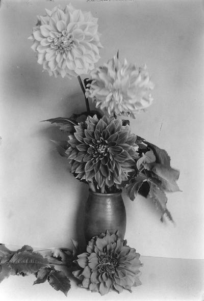 Flower arrangement