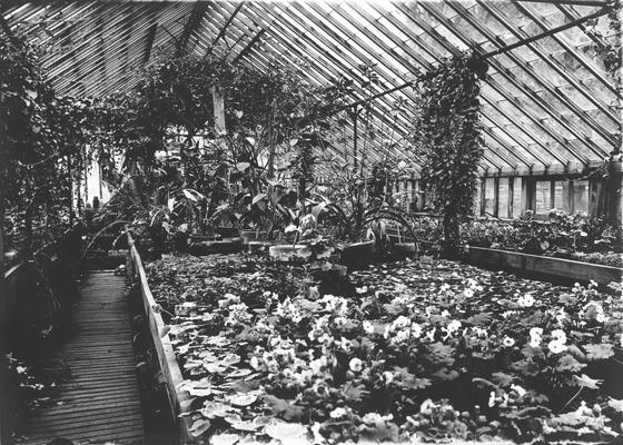 Greenhouse