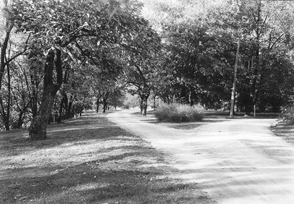 Neville Hall Drive, unpaved, 1923