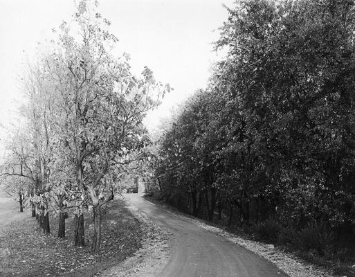 Chemistry Drive, unpaved, 1923