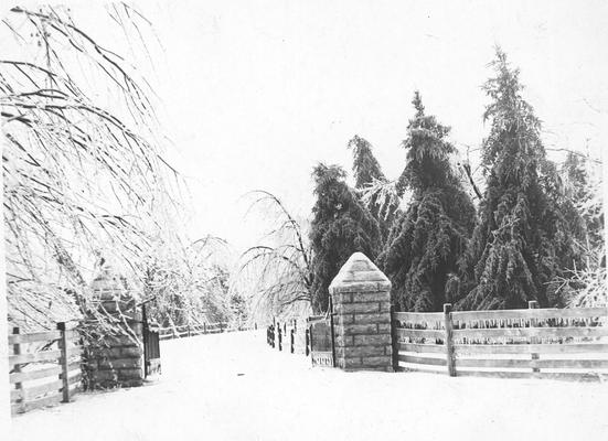 Main Entrance in snow, Photographer, Leon Frankel