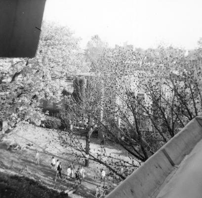 View from a University Archives window located in King Library