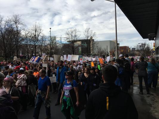 Women's March in Atlanta, Georgia, photographs taken by Julene Jones