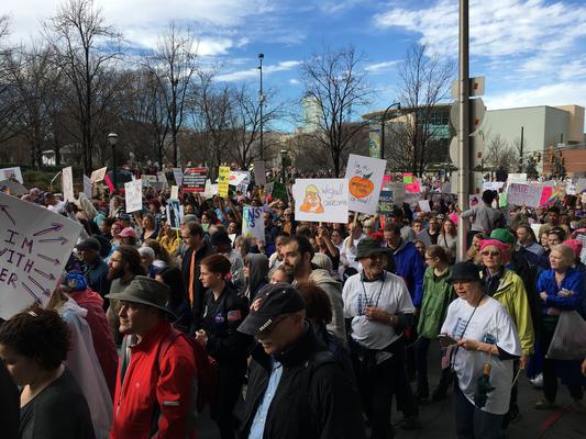 Women's March in Atlanta, Georgia, photographs taken by Julene Jones