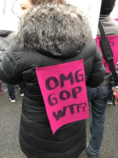 Women's March in Washington, D.C., photographs taken by Eric Rickert