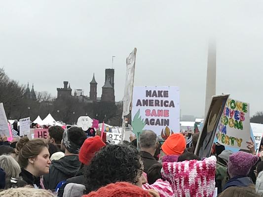 Women's March in Washington, D.C., photographs taken by Eric Rickert