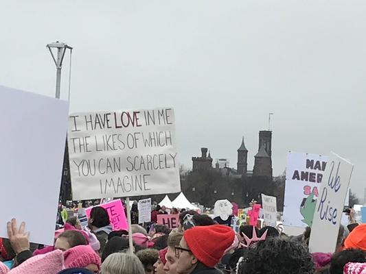 Women's March in Washington, D.C., photographs taken by Eric Rickert