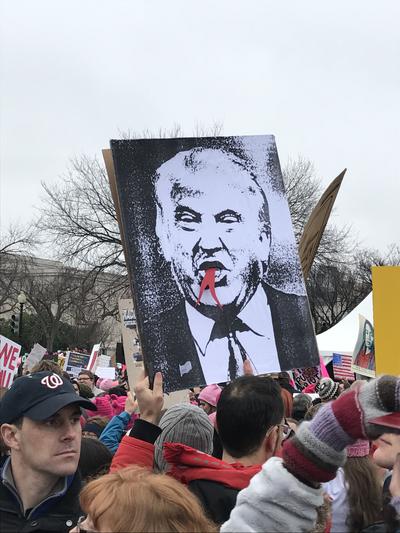 Women's March in Washington, D.C., photographs taken by Eric Rickert