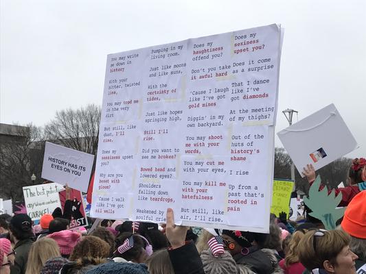 Women's March in Washington, D.C., photographs taken by Eric Rickert