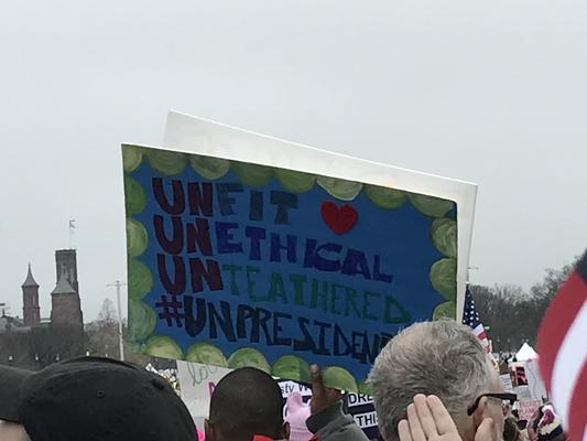 Women's March in Washington, D.C., photographs taken by Eric Rickert