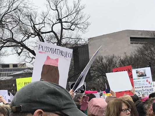 Women's March in Washington, D.C., photographs taken by Eric Rickert