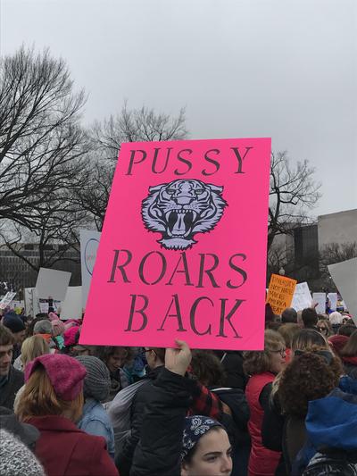 Women's March in Washington, D.C., photographs taken by Eric Rickert