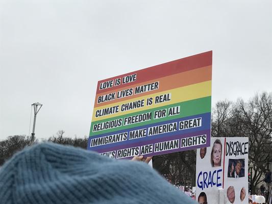 Women's March in Washington, D.C., photographs taken by Eric Rickert