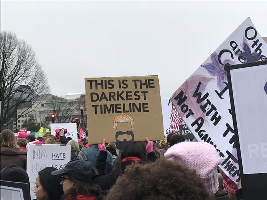 Women's March in Washington, D.C., photographs taken by Eric Rickert