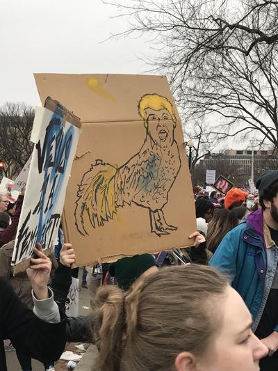 Women's March in Washington, D.C., photographs taken by Eric Rickert