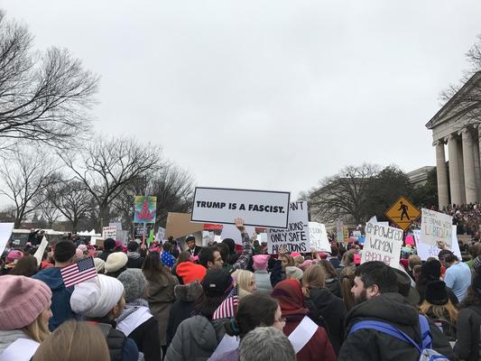 Women's March in Washington, D.C., photographs taken by Eric Rickert