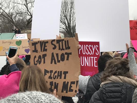 Women's March in Washington, D.C., photographs taken by Eric Rickert