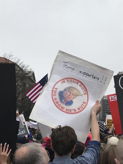 Women's March in Washington, D.C., photographs taken by Eric Rickert