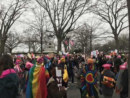 Women's March in Washington, D.C., photographs taken by Eric Rickert