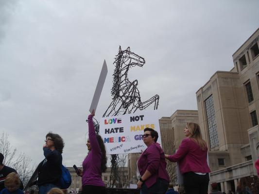 Women's March in Lexington, Kentucky, photographs taken by Diane Arnson Svarlien