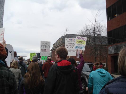 Women's March in Lexington, Kentucky, photographs taken by Diane Arnson Svarlien