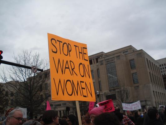 Women's March in Lexington, Kentucky, photographs taken by Diane Arnson Svarlien