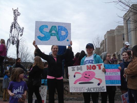 Women's March in Lexington, Kentucky, photographs taken by Diane Arnson Svarlien