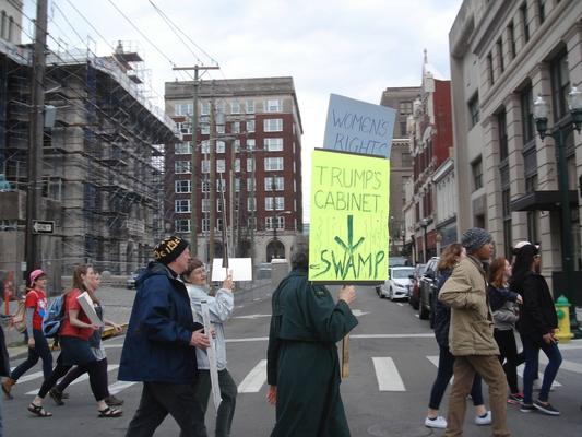 Women's March in Lexington, Kentucky, photographs taken by Diane Arnson Svarlien