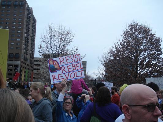 Women's March in Lexington, Kentucky, photographs taken by Diane Arnson Svarlien