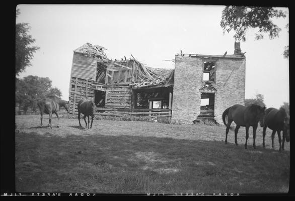 Ruins of Harp House, Harp Innis Road, Fayette County, Kentucky