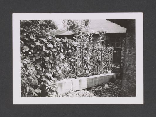 Ironwork at the Episcopal Cemetery, Lexington, Kentucky in Fayette County