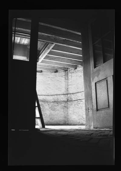 Lyndhurst basement of conservatory, Lexington, Kentucky in Fayette County