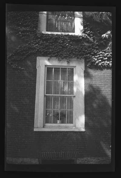 Windows at the Funkhouser House, W. R. Davis House, Second Street, Lexington, Kentucky in Fayette County