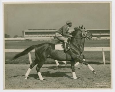 Colony Boy ridden by an African American man