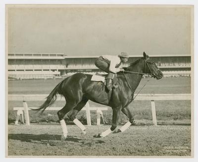 Knockdown ridden by an African American man