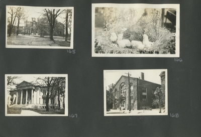 the exterior of a building in the distance; a chicken and chicks; the exterior of a building with large pillars; exterior of the YWCA