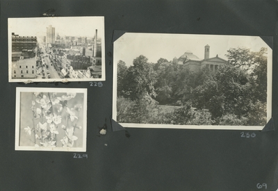 overhead view of city street; flowers; exterior of 2 buildings off in the distance