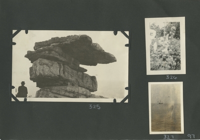 rock formation; flowers; water with a ship off in the distance