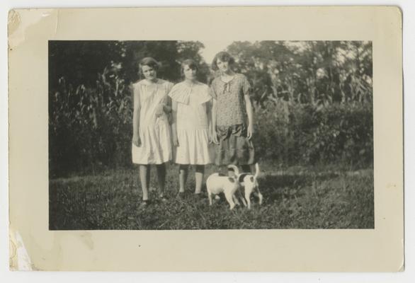 Three unidentified girls and two dogs in front of a corn field